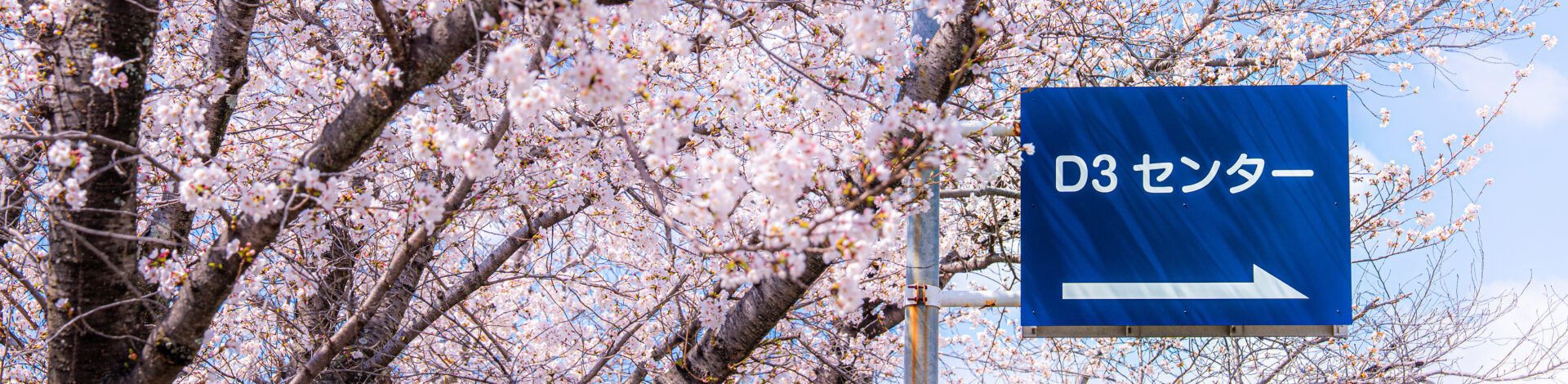 (日本語) 学生募集中です
